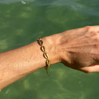 Shell Bracelet
